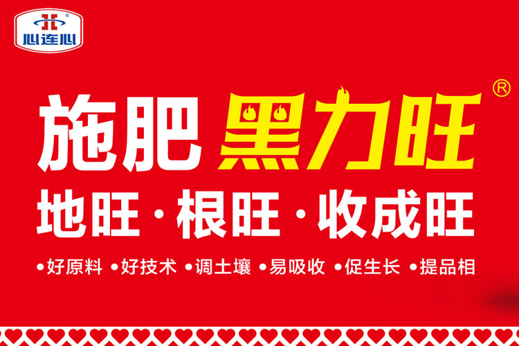 竞技宝(JJB)官方网站 - 华语电竞行业引领者