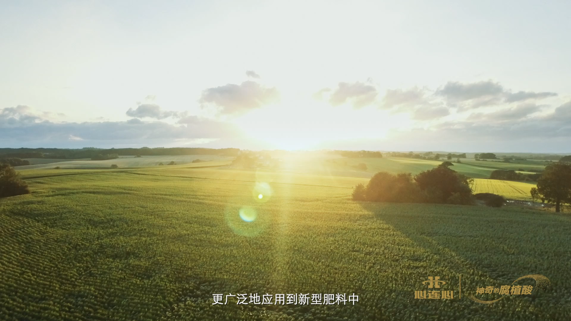 竞技宝(JJB)官方网站 - 华语电竞行业引领者