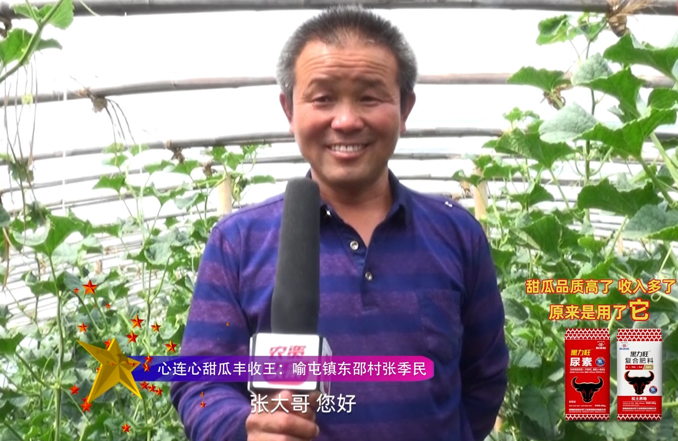 竞技宝甜瓜丰登王