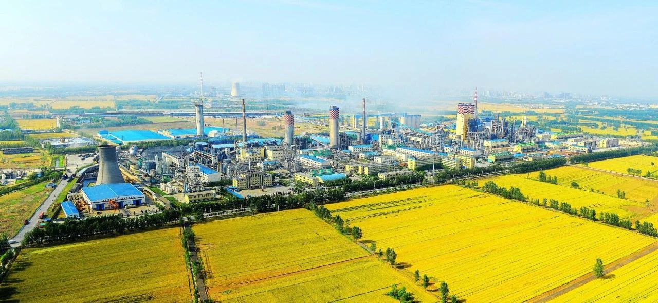 【竞技宝·瞬间】竞技宝化学工业集团建厂50周年回眸（四）