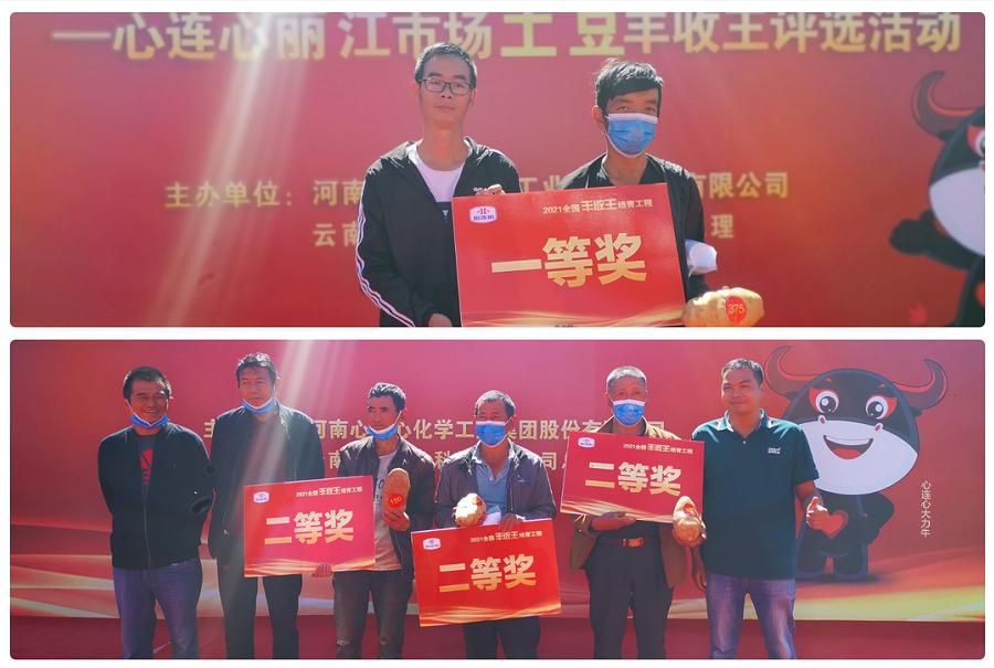 喜迎丰登，薯王争霸！——竞技宝丽江市场土豆丰登王评比活动成功进行